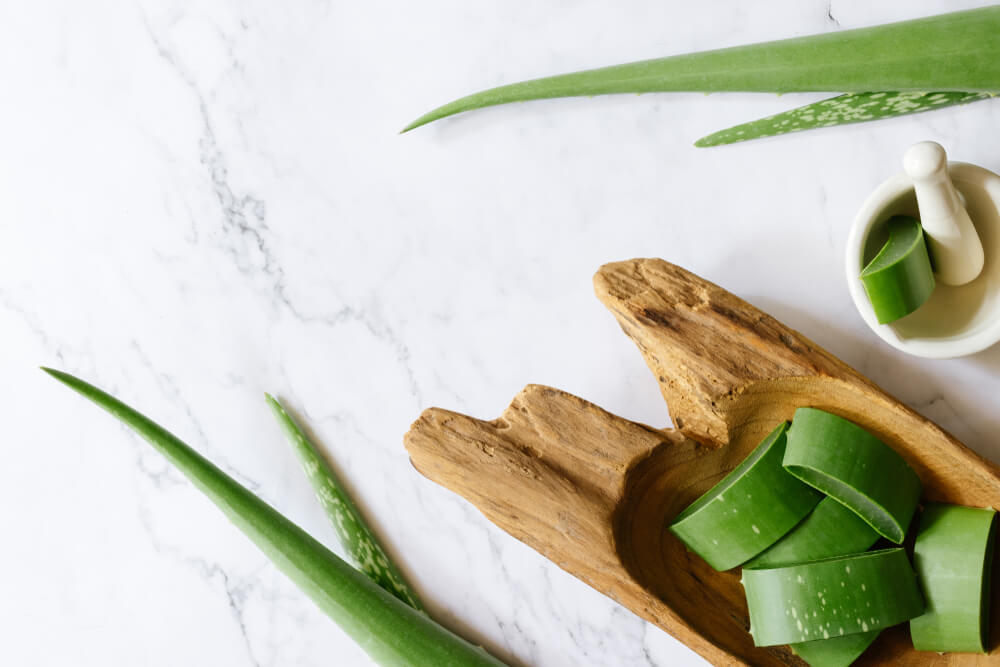 معجزه ای به نام آلوئه ورا